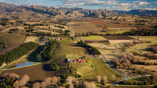 Winery Aerial Photography